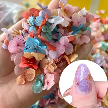 50шт 3D Сухоцветы Украшения Для Дизайна Ногтей Настоящие Высушенные Лепестки Наклейки DIY Маникюр Подвески Дизайн Красочных Ногтей Сухоцветы