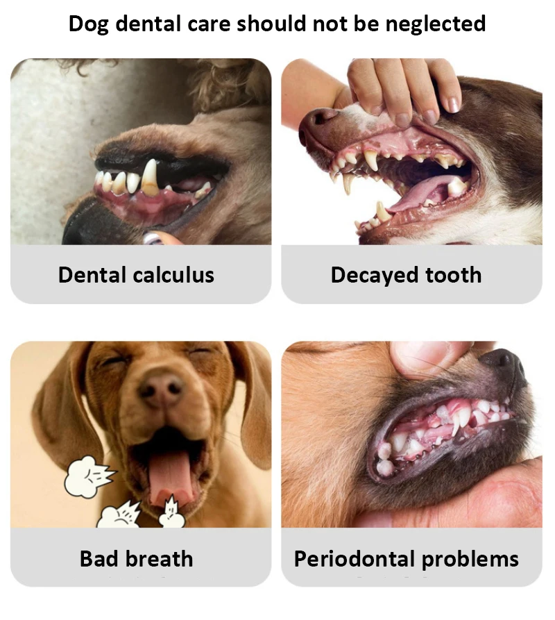 Зубная щетка для собак, Пальчиковая Зубная щетка для домашних животных, Игрушки для собак, Защита окружающей среды, Силиконовые Собаки, Кошки, Чистящие Зубы, Зоотовары, Зубные щетки 5