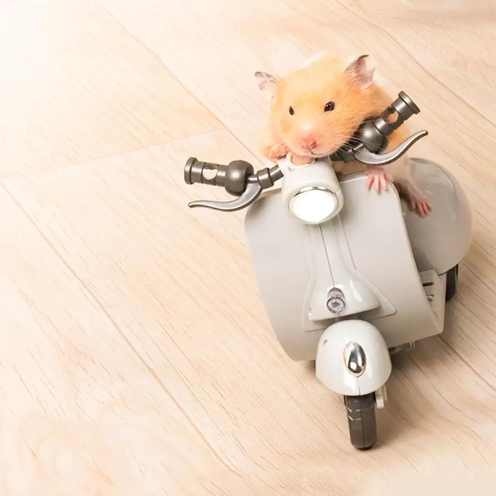 Креативный трюк с хомяком, Вращающаяся игрушка-мотоцикл, Вращающийся на 360 градусов, Светомузыкальный Электрический Скутер, Товары для домашних животных, Аксессуары для хомяков 3