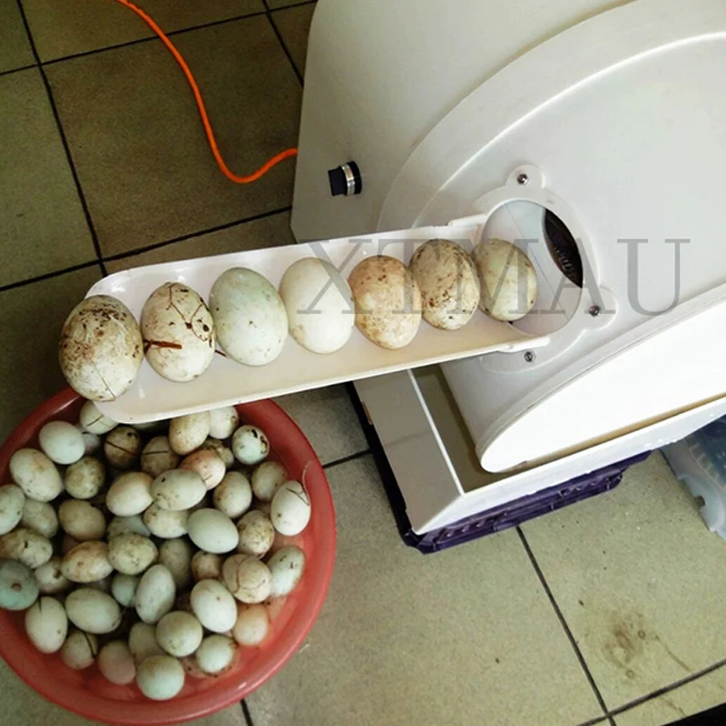 Однорядная коммерческая автоматическая машина для чистки яиц, Маленькая машина для чистки яиц, Машина для чистки куриных, утиных, гусиных яиц 4