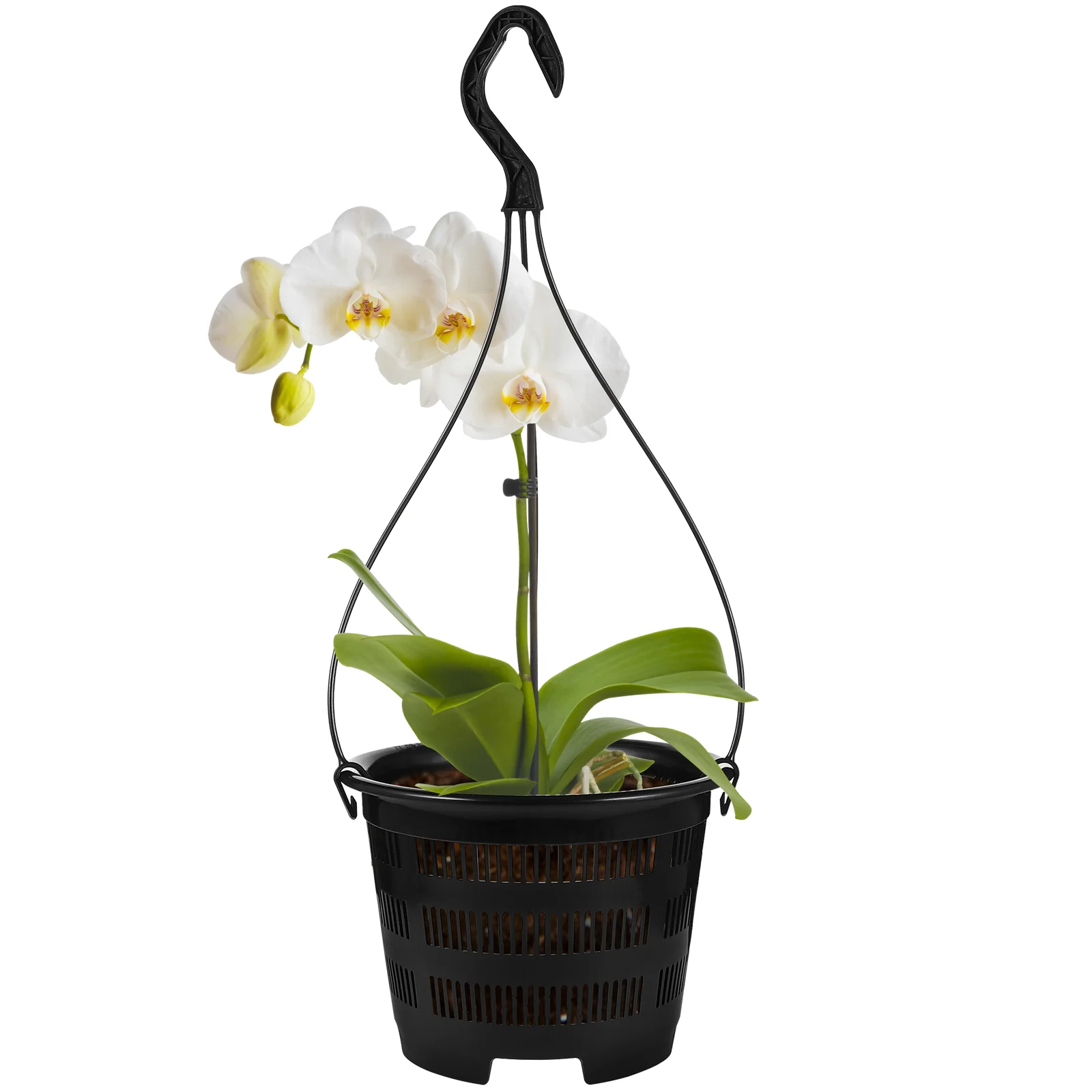 5 Комплектов Подвесного Бассейна Орхидея Плантатор Горшок Дендробиум Дренажные Горшки Растения Внутренний Держатель 0
