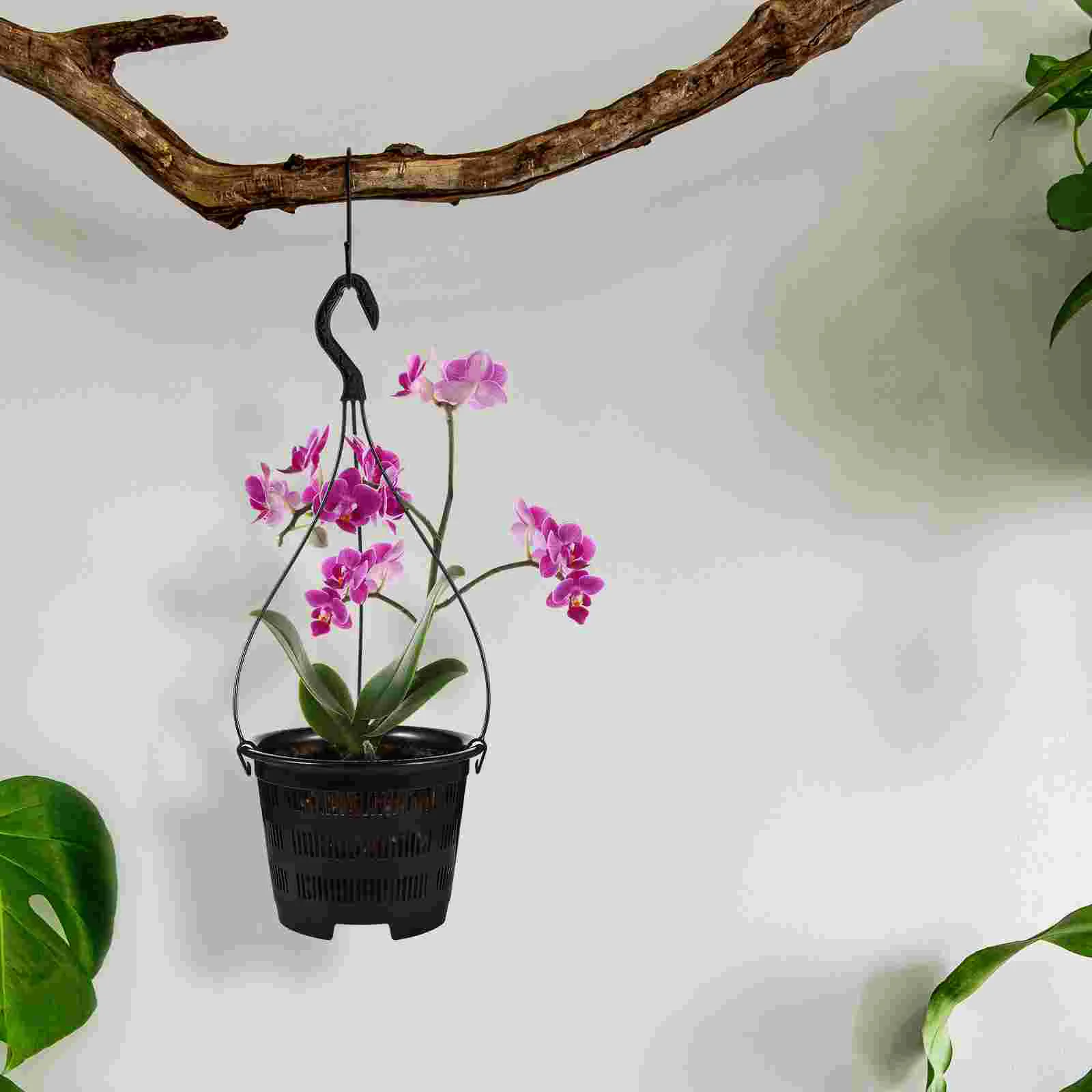 5 Комплектов Подвесного Бассейна Орхидея Плантатор Горшок Дендробиум Дренажные Горшки Растения Внутренний Держатель 5