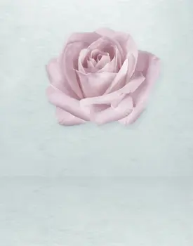 5x7ft Розовые Розы, цветы, фоны для фотосъемки, реквизит для студии, фон