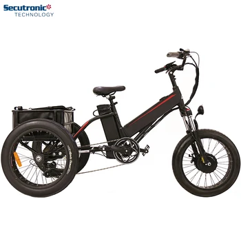 Грузовой Электровелосипед для доставки пиццы, Электрический велосипед с мотором Bafang, Семейный толстый электрический велосипед для пожилых людей