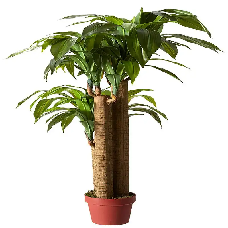 Драцена из настоящего кукурузного стебля, искусственное растение, зеленый 1