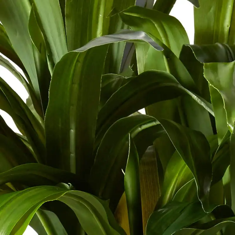 Драцена из настоящего кукурузного стебля, искусственное растение, зеленый 2