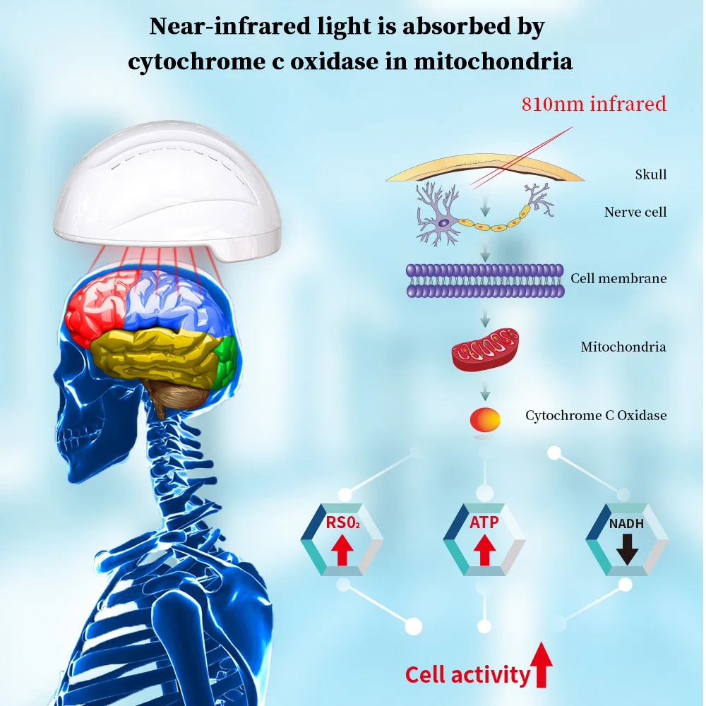 Фотобиомодулирующий Шлем с Мозговой Волной 810 нм, Инфракрасная Светодиодная Светотерапия Для Лечения Инсульта, Болезни Паркинсонизма, Лечения психических заболеваний 4